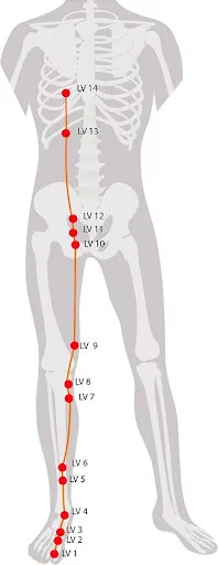 Acupuncture by Kim newsletter image
