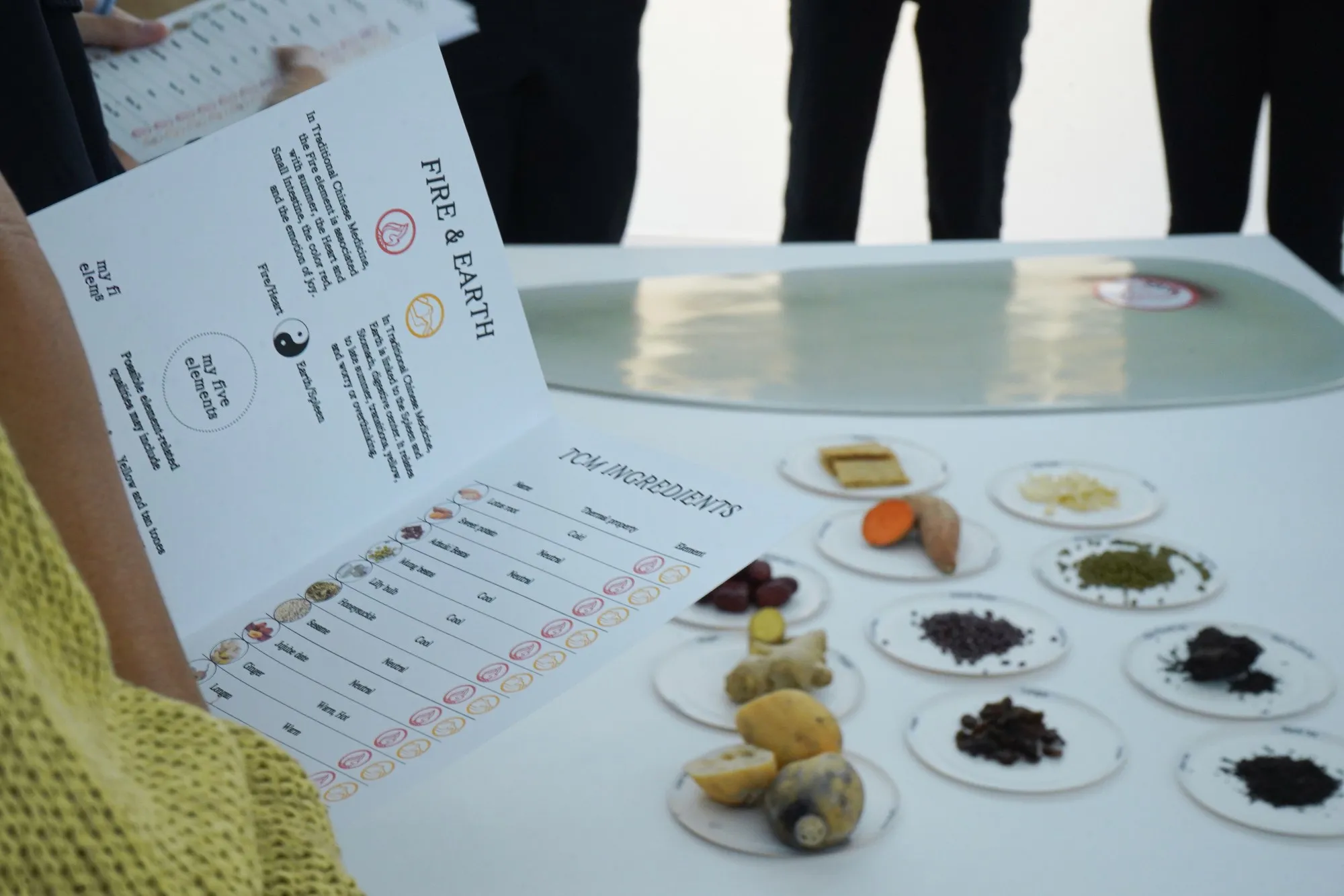 Workshopboekje over Vuur en Aarde met een lijst van TCM ingrediënten