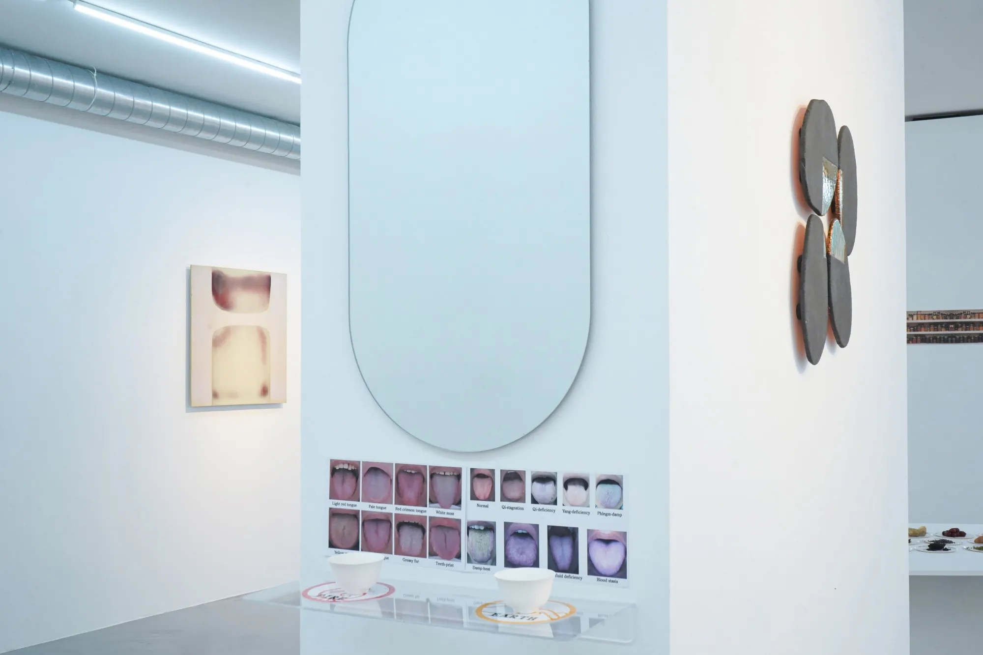 Expositiemuur met een spiegel en een overzicht van TCM tongdiagnose