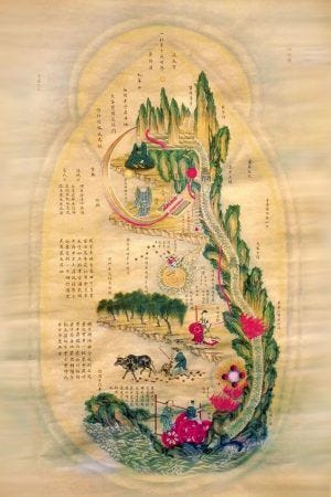 Notes from an acupuncturist - June 2025